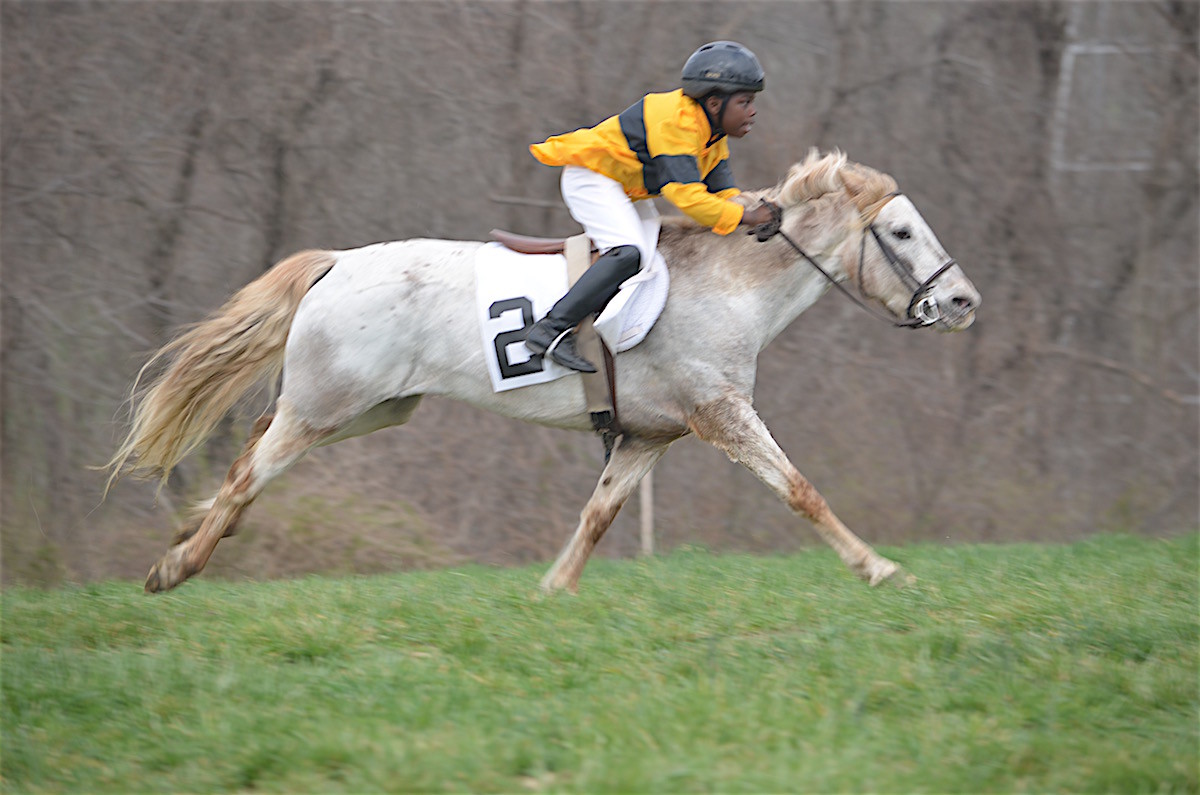 The Medium Pony Race, © Horse Network