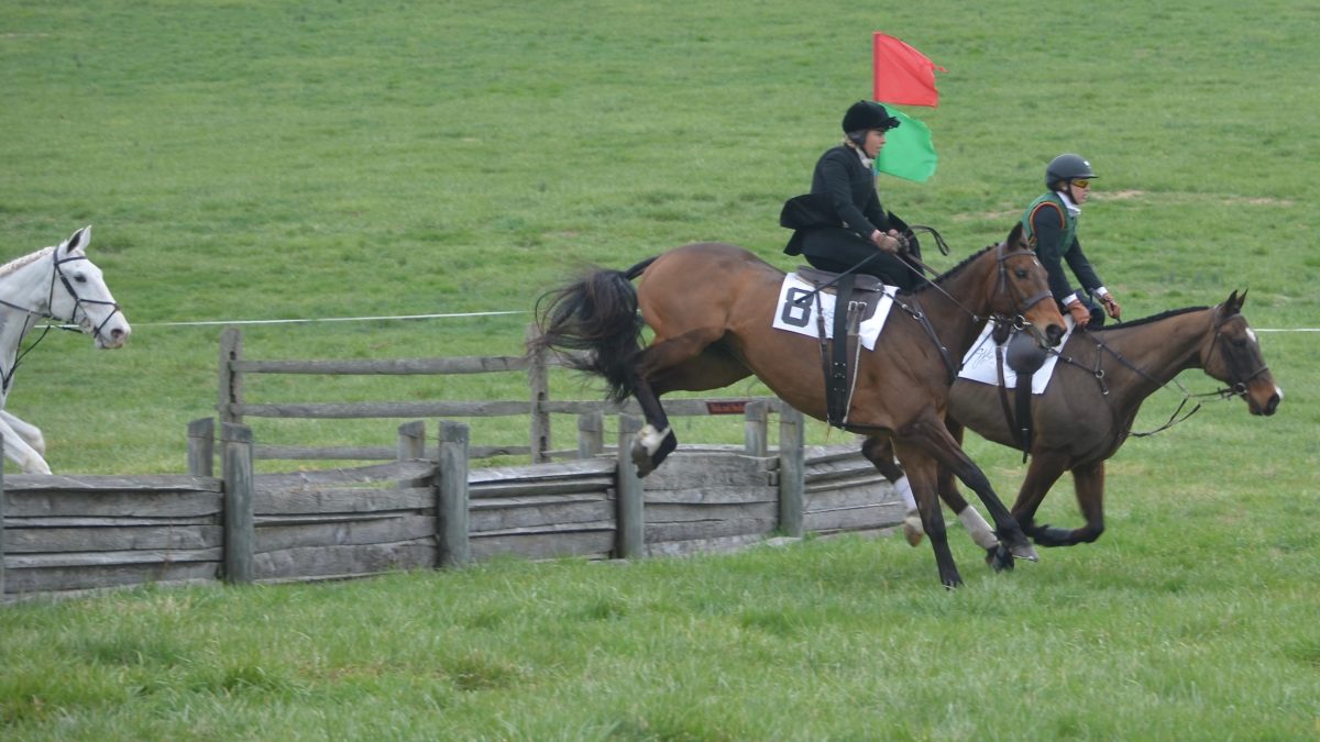 Cheshire Point to Point, March 27, 2016