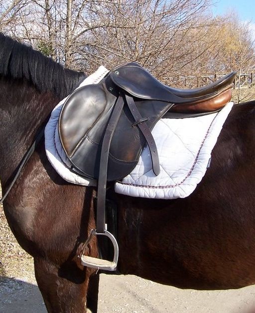 English_saddle