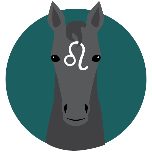Finally, Horse Zodiac Signs Have Arrived. What’s Yours?