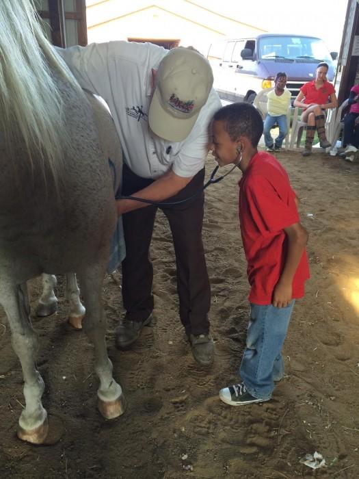 detroit-horse-power-bringing-an-outside-world-to-inner-city-kids_4