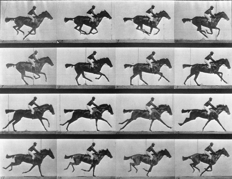 eadweard-muybridge-the-horse-in-motion-4