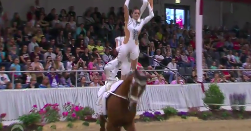 german-vaulting-team-standing-on-top-of-horse2-1200x628