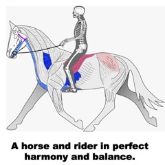 horse-and-rider