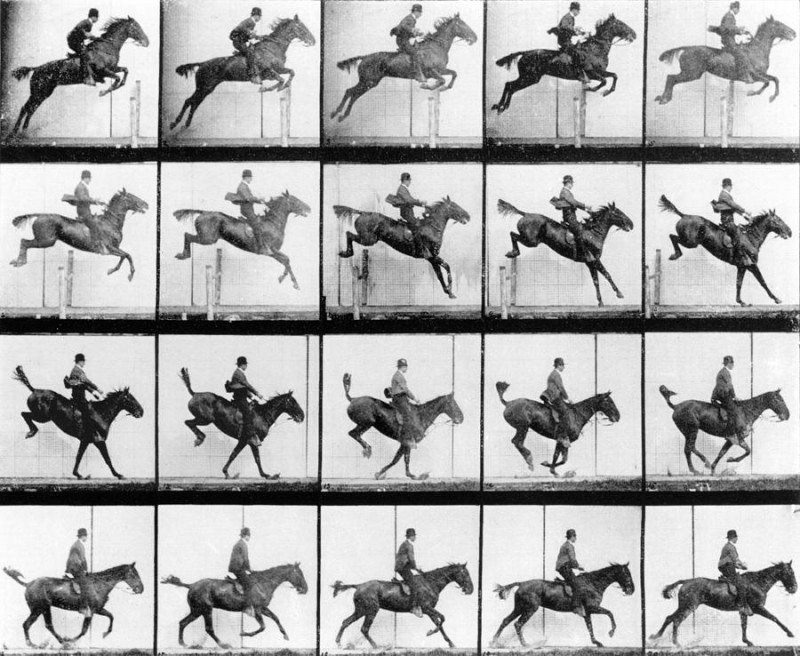 man-and-horse-jumping-eadweard-muybridge