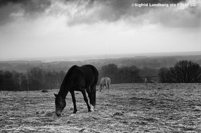 stormy-weather