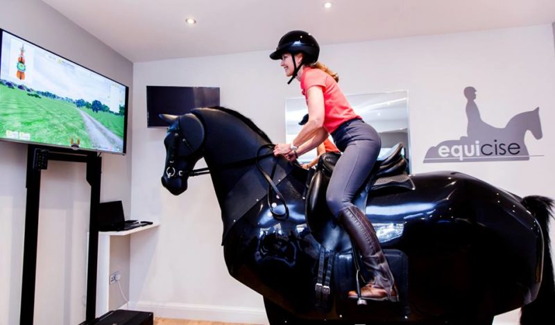 horse riding simulator exercise machine