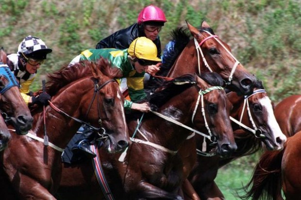 Jockey Kevin Moses presiding over the field aboard Holy Roller. (Photo by Sportpix).