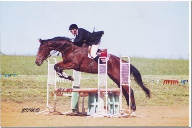 53b24ba0c72e8_Showjumping-1404193656_n