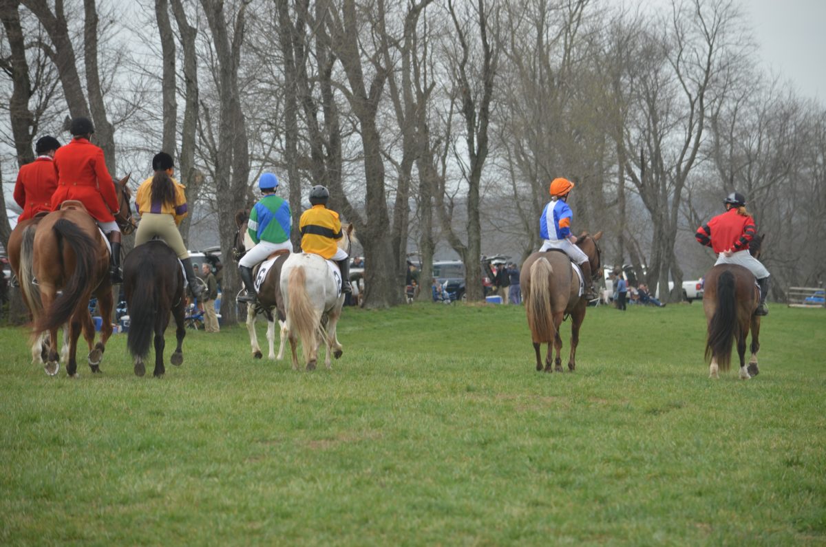 Cheshire Point to Point, March 27, 2016, © Horse Network
