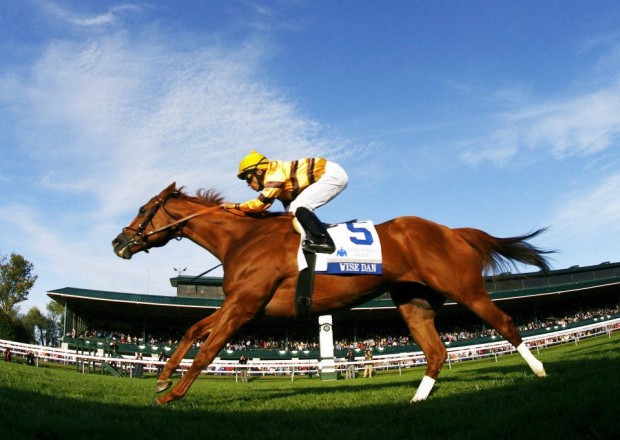 WiseDan_Shadwell